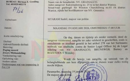 DTV-Express voor rechter gedaagd na bericht over aangifte tegen Burney Brunswijk