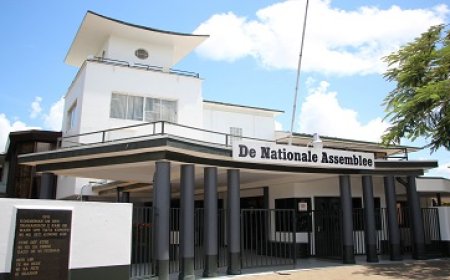 Wetten voor betaalde vuilophaal dit jaar naar DNA