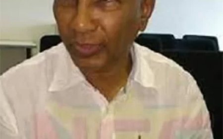 Menke: Suriname vast in ‘mamio-politiek’, tijd voor overgangskabinet