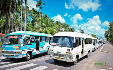 Deel bushouders vraagt stadsrit van SRD 30