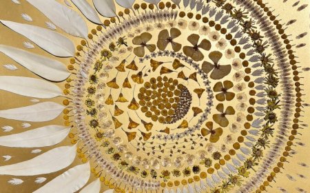 ‘Where the Earth Connects Us’: Drie kunstenaars in natuurlijk dialoog