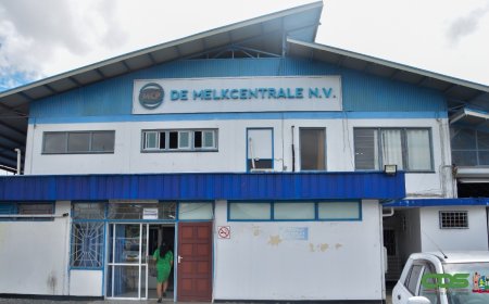 Drie verdachten vrij in fraudezaak Melkcentrale: rechter weigert vijfde bewaring