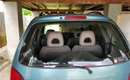 Autoruiten aan diggelen op eigen erf