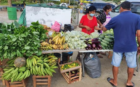Prijslijst groenten donderdag 5 maart 2026