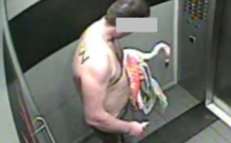 Toerist steelt flamingo uit hotel in Las Vegas