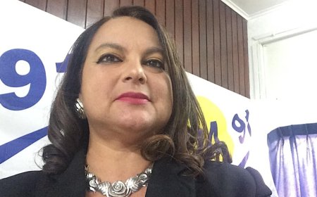 Del Castilho: stemmen op dezelfde partijen brengt geen verandering