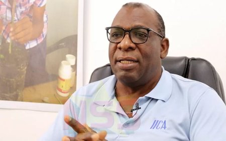 Vrouwen cruciaal voor agrosector, maar eerlijke vergoeding blijft uitdaging