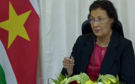 Simons benadrukt ordening mediaveld en journalistiek via accreditatie