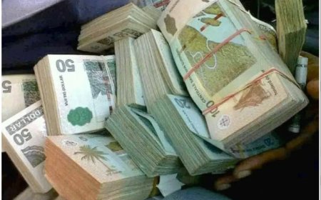 Investeringen aangekondigd, maar structurele economische keuzes blijven cruciaal