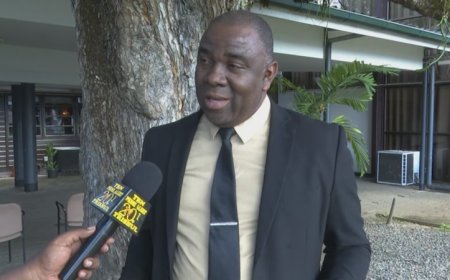 DNA-lid Plein wil verbod op dubbele functies bij directeuren parastatale bedrijven