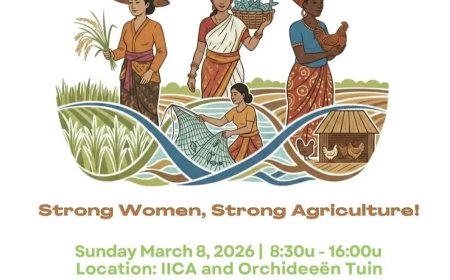 Steeds meer aandacht voor vitamine B12-tekort