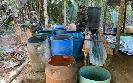 Colombia, Ecuador en Verenigde Staten vernietigen vijf cocaïnelabs