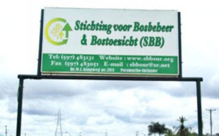 SBB schorst Algemeen Directeur voorlopig