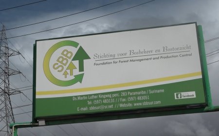 Vakbond SBB-personeel distantieert zich van brief uit houtsector