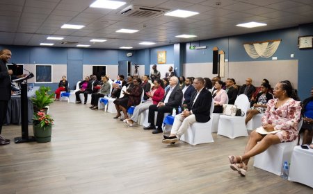 Bouva: economische diplomatie moet investeringen en banen naar Suriname brengen