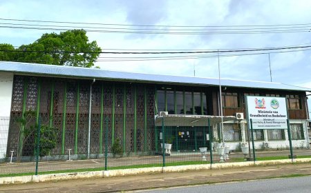 Bestuur SBB draagt Dwight Pinas voor als waarnemend algemeen directeur