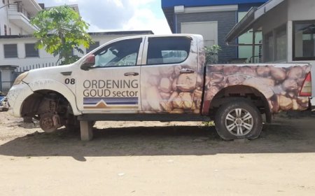 Goudordening: een probleem dat al zestien jaar wacht op echte oplossingen