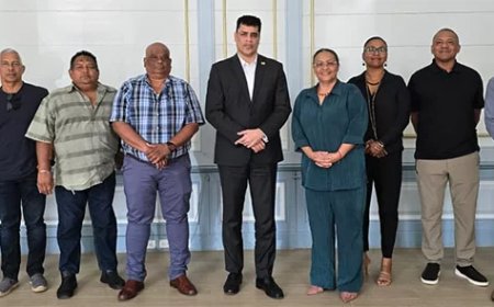 Groente-export zakt van 65 naar 15 ton per maand: sector vraagt actie