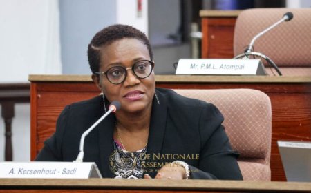 DNA bespreekt recente staatsleningen met minister Financiën