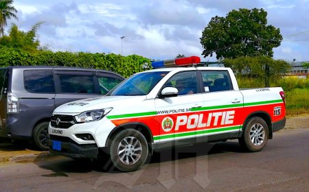 Man aangehouden na ontuchtige handelingen in bijzijn van minderjarigen