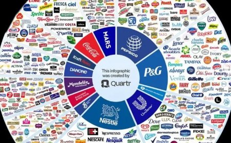 Supermarkt vol keuze… of vooral dezelfde bedrijven?