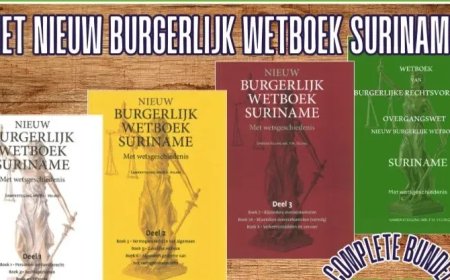 Het recht begrijpelijk uitgelegd – DNA-test volgens Nieuw Burgerlijk Wetboek verplicht bij er