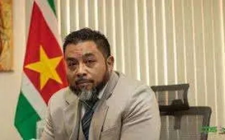 DNA moet beslissen over vervolging Bronto Somohardjo