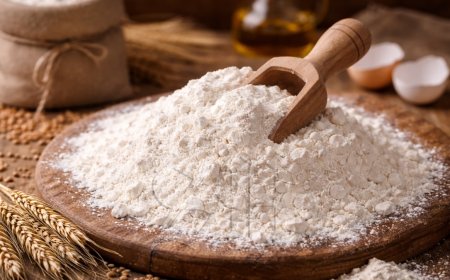 Geen sprake van meeltekort; broodproductie weer op gang