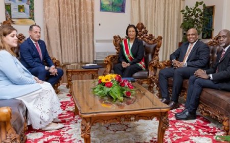 Zes diplomaten overhandigen geloofsbrieven aan president