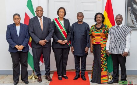 Zes ambassadeurs willen samenwerking met Suriname versterken