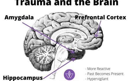 Ons wonderbaarlijk brein (10)