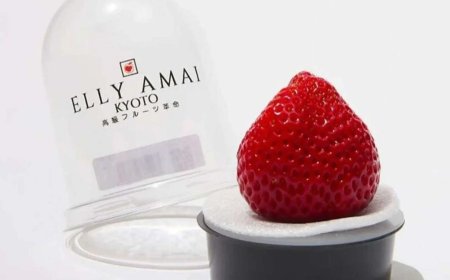 Opmerkelijk – Winkel in Californië verkoopt aardbeien voor 16 euro per stuk