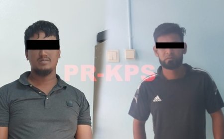 Duo opgesloten na stelen drie schapen