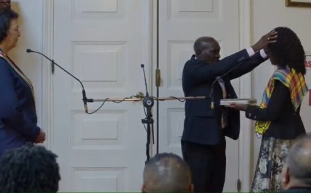 Negen nieuwe ambassadeurs beëdigd