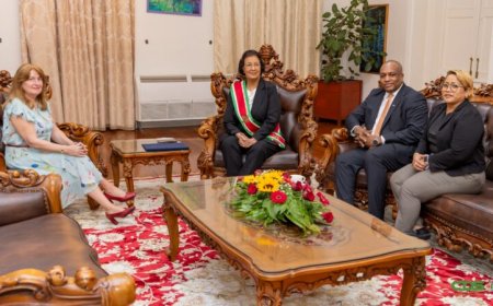 Zes ambassadeurs bieden geloofsbrieven aan president Simons aan