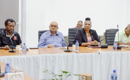 Regering consulteert Ravaksur en COL over maatregelen tegen economische gevolgen