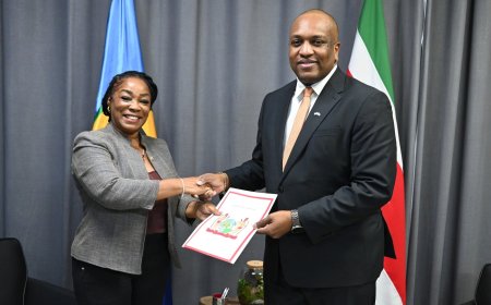 Roseline Daan ontvangt benoemingsbrevet als consul-generaal in Amsterdam