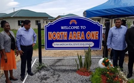 OM: Nurmohamed negeerde negatief advies Raghoebarsing in kwestie Pan-American Real Estate