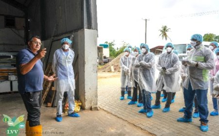 LVV start trainingen voor beginnende pluimveehouders