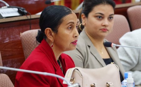 Pg Paragsingh: mensen mogen hun mening geven