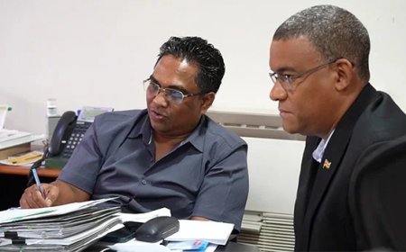 Minstens 600.000 extra aan lokale kip op de markt medio dit jaar