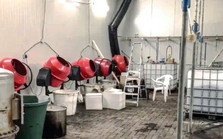 Geurloze cocaïne onzichtbaar voor justitiële autoriteiten