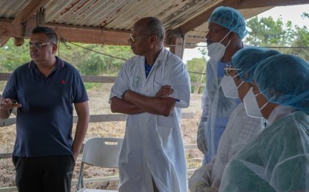 LVV wil met trainingen afhankelijkheid van import in pluimveesector verminderen