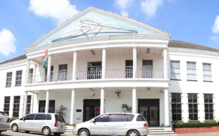 Aanpassing retentieregeling kan Centrale Bank weer speler op valutamarkt maken