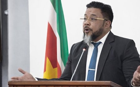 Uitstel DNA-vergadering over rechterlijke macht roept vragen op bij Somohardjo