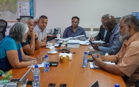 LVV en pluimveesector gaan voor bredere aanpak van knelpunten