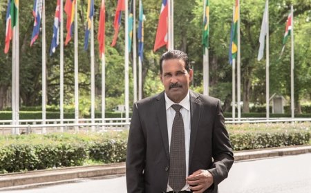 Problemen in rijstsector nog niet opgelost