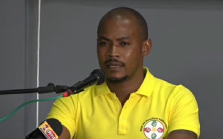 Hellings keurt torenhoge toelages aan EBS-managers af