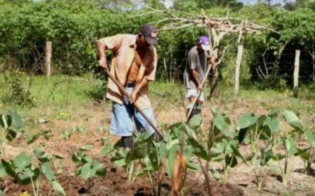 Arbeidstekort in Suriname heeft uiteenlopende oorzaken