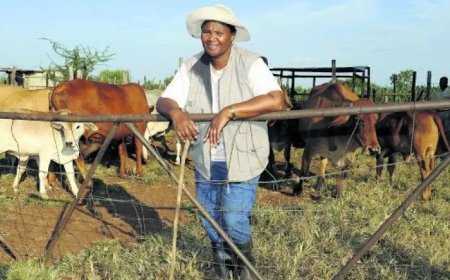 Ook wij zijn het volk, of telt de private sector niet mee?